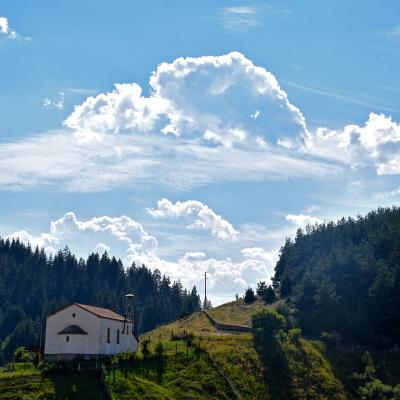 Борино