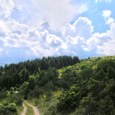 Старо село